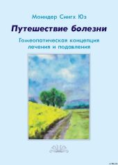 Путешествие болезни. Гомеопатическая концепция лечения и подавления