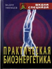 Практическая биоэнергетика. Оригинальная методика для сотрудников спецслужб