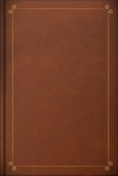 Булавинский бунт. (1707–08 гг.). Этюд из истории отношений Петра Великого к Донским казакам