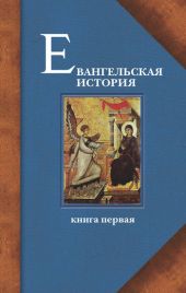 Евангельская история. Книга I