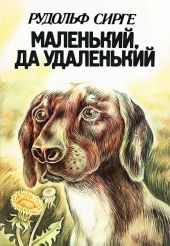 Маленький, да удаленький