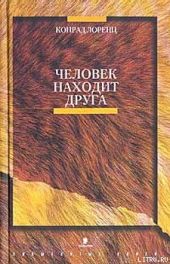 Человек находит друга