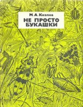 Не просто букашки