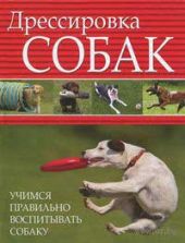 Дрессировка собак. Учимся правильно воспитывать собаку