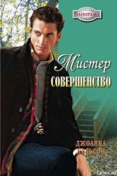 Мистер Совершенство