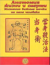 Aнатомия жизни и смерти. Жизненно важные точки на теле человека