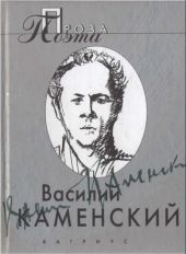 Василий Каменский . Проза поэта