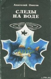 Вода, настоянная на чернике