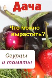 Что можно вырастить? Огурцы и томаты