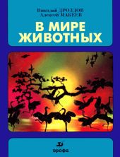 В мире животных