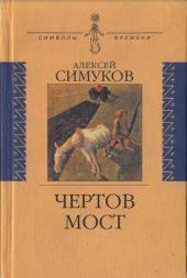 Чертов мост, или Моя жизнь как пылинка. Истории : (записки неунывающего)