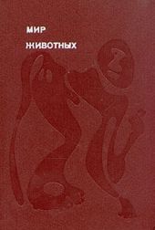 Рукокрылые, приматы, неполнозубые, панголины, зайцеобразные, грызуны, китообразные, ластоногие, трубкозубые, даманы, сирены и хоботные