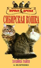 Сибирская кошка