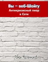 Вы - веб-Шойгу. Антикризисный пиар в Сети