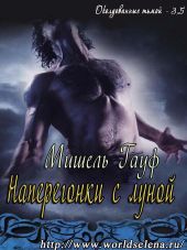 Наперегонки с луной