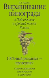 Выращивание винограда в Подмосковье и средней полосе России