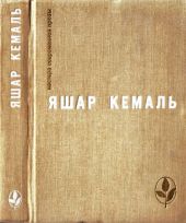 Легенда Горы. Если убить змею. Разбойник. Рассказы. Очерки