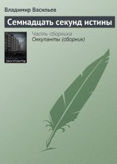 Семнадцать секунд истины