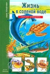Жизнь в соленой воде. Школьный путеводитель