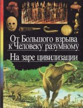 От Большого взрыва к Человеку разумному. На заре цивилизации