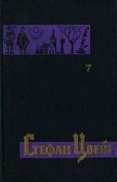 Том 7. Ромен Роллан. Воспоминания о Эмиле Верхарне. Встречи с людьми, городами, книгами