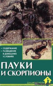 Пауки и скорпионы. Содержание и разведение в домашних условиях