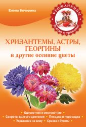 Хризантемы, астры, георгины и другие осенние цветы