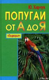 Попугаи от А до Я