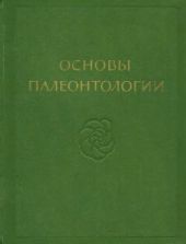 Губки, археоциаты, кишечнополостные, черви