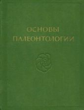 Моллюски - панцирные, двустворчатые, лопатоногие