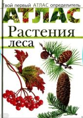 Атлас. Растения леса