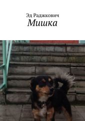 Мишка