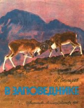 В заповеднике
