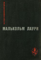 У подножия вулкана. Рассказы. Лесная тропа к роднику