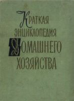 Краткая энциклопедия домашнего хозяйства. В двух томах. Том 1. А-Н (ответственный редактор - И.Ревин)