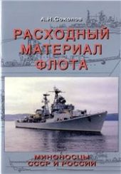 Расходный материал советского флота. Миноносцы СССР и России