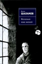 Несколько моих жизней: Воспоминания. Записные книжки. Переписка. Следственные дела