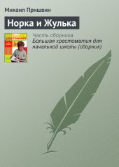 Норка и Жулька