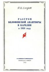 Разгром белофинской авантюры в Карелии в 1919 году