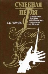 Судебная петля. Секретная история политических процессов на Западе