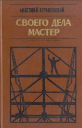 Своего дела мастер: Заметки писателя