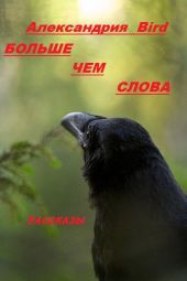 Больше чем слова