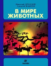 В мире животных 3