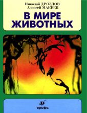 В мире животных 2