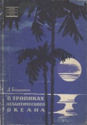 В тропиках Атлантического океана