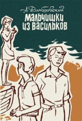 Мальчишки из Васильков. Повести