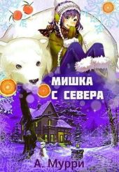 Мишка с севера