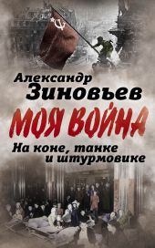 На коне, танке и штурмовике. Записки воина-философа