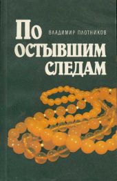 По остывшим следам [Записки следователя Плетнева]