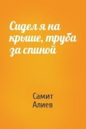 Сидел я на крыше, труба за спиной